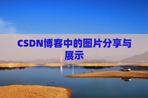 CSDN博客中的图片分享与展示